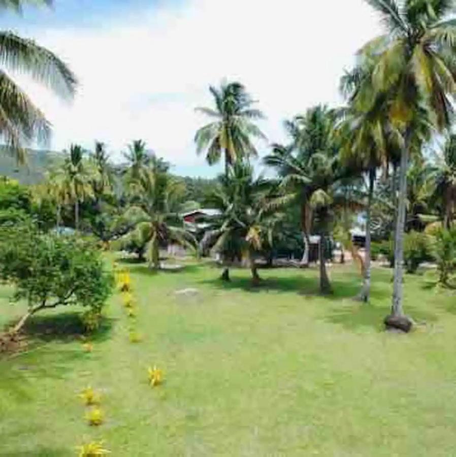 White Sandy Beach-Best Manta Snorkeling Tethi Exterior foto